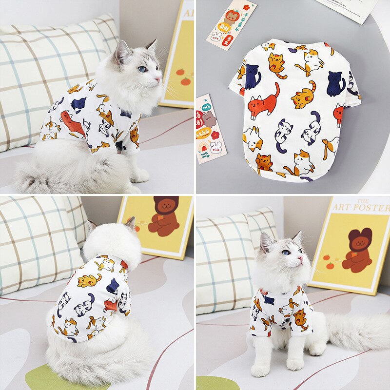 Sommer Katze Kleidung Winter Haustier Welpen Kätzchen Mantel Jacke Für klein Mittel Hunde Katzen Chihuahua Yorkshire Kleidung Kostüm S-2XL: Katze / M