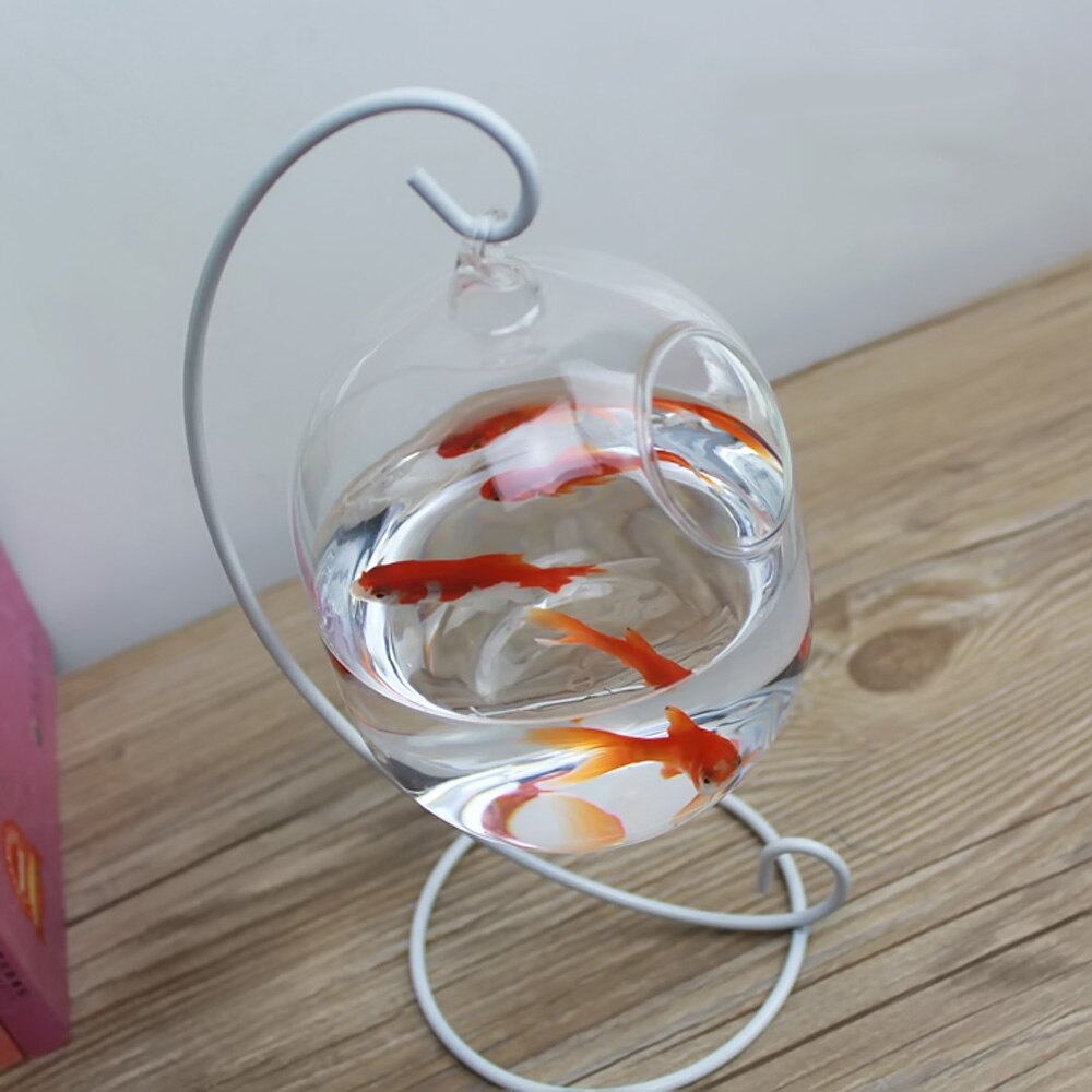Behokic Clear 12cm Height Hanging Glass Aquarium Fish Bowl Fish Tank Flower Plant Vase with 23cm Height White Rack Fishbowls