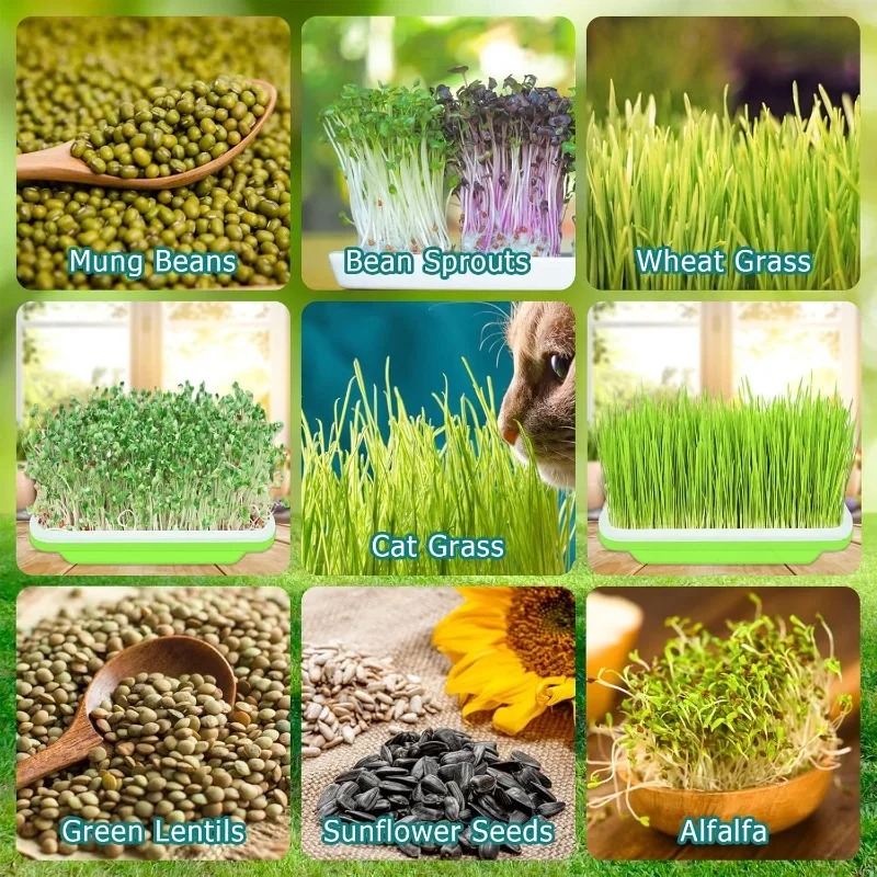 1/3PCS Plastic Grow Kwekerij Potten Groente Grondloze Kwekerij Trays Zaad Kieming Lade Zaailing Spruit Plaat Tuin