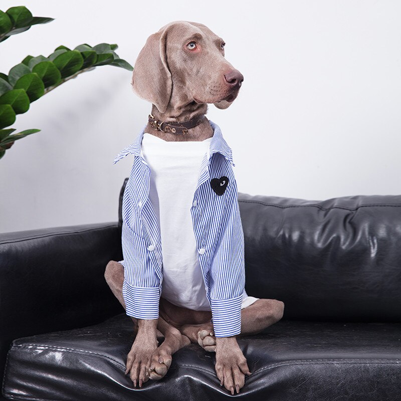 Große Hund Kleidung Frühling und Herbst Dünne Hund Hemd Dober golden Retriever Labrador Shiba Inu Hund Kleidung Hund Zubehör: klein Hund XL / 001 einstellen