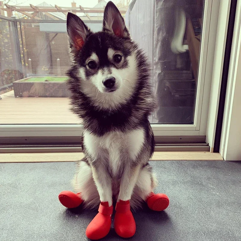 4 Uds. Zapatos de lluvia impermeables para Gato, Botas de lluvia antideslizantes de silicona para perros, botas de goma para exteriores para perros pequeños, medianos y grandes