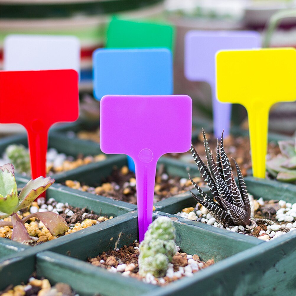 Rotuladores de planta colorida para bonsái de jardín, etiquetas para suculentas, etiquetas de PVC para jardinería, estaca en el suelo, palos para pintar, 100 Uds.