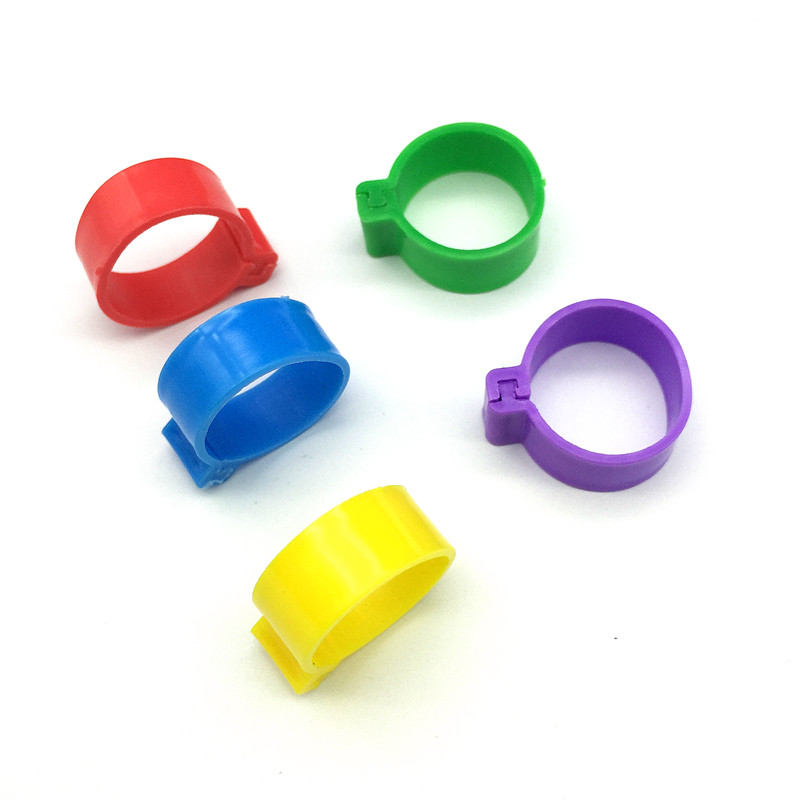 200 stuks Binnen diameter 2.0cm Kip voet ring Eend Gans Vogel Kwartel Gevogelte Kip Ring Gevogelte draagbare apparaat Hoge 1cm