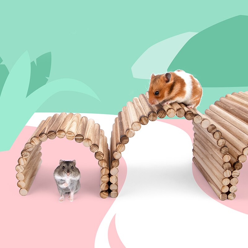 Pont de Hamster en bois, jouets suspendus, ours doré, cochon d&#39;inde, Tunnel d&#39;escalade, jouets à mâcher molaires, fournitures pour petits animaux