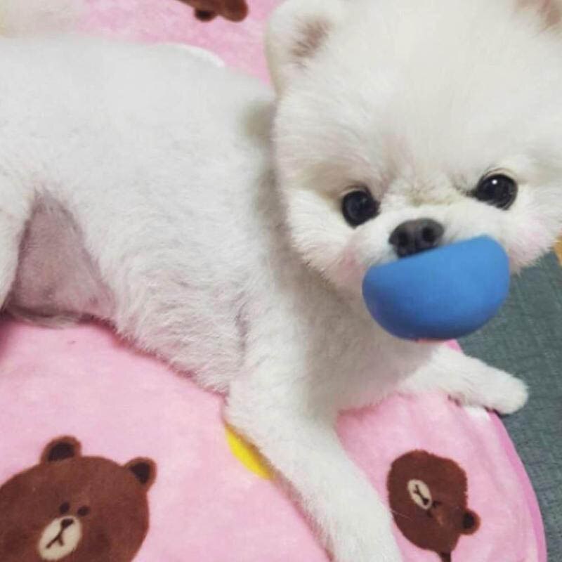 Rubber Dog Puppy Pet Play Squeaky Ball Chewing Toys with Face Fetch Bright Balls Pet Dog Supplies Puppy Popular Toys