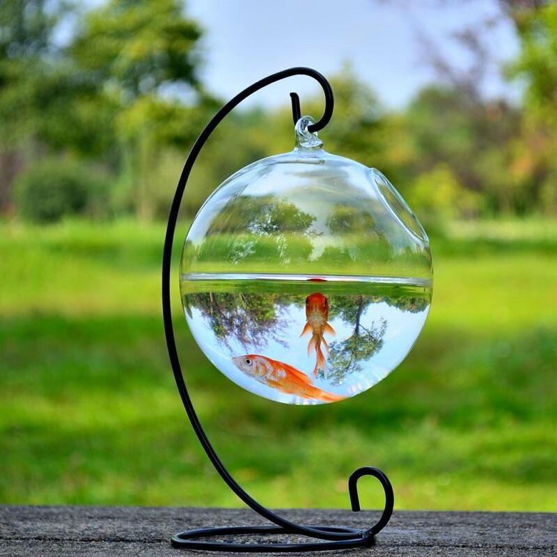 12 Stks/pak Diameter = 10 Cm Helder Glas Terrarium Aquarium Thuis Decoratieve Handgemaakte Opknoping Vissenkom Platte En Ronde Bodem