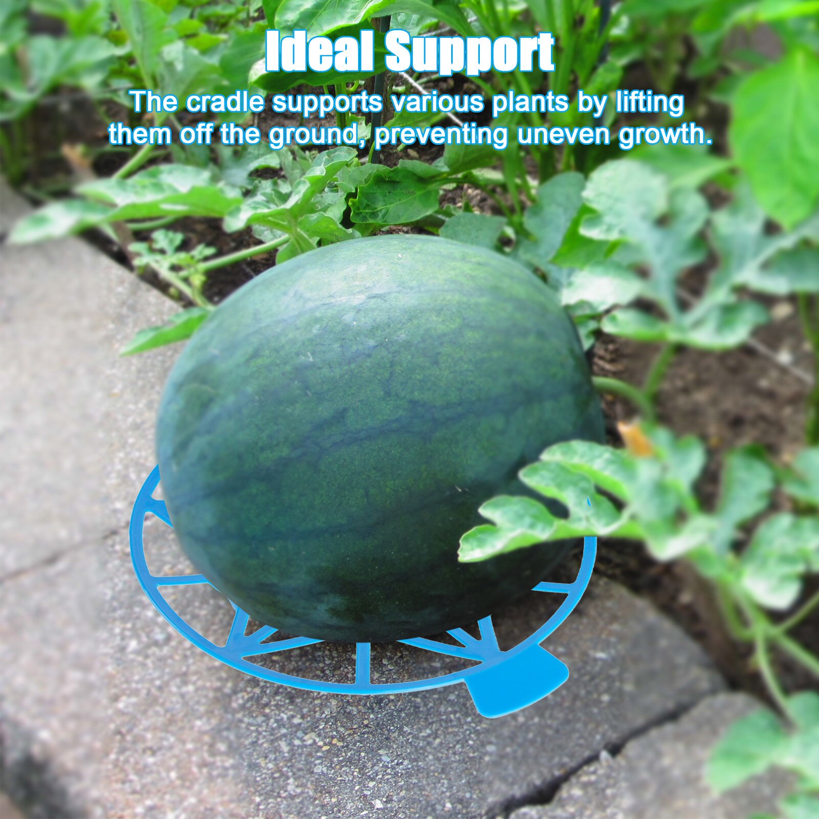 5pc Plastic Watermelon Cradle Potato Strawberry Planter Planting Container Multi-mouth Container Holder Support Protector