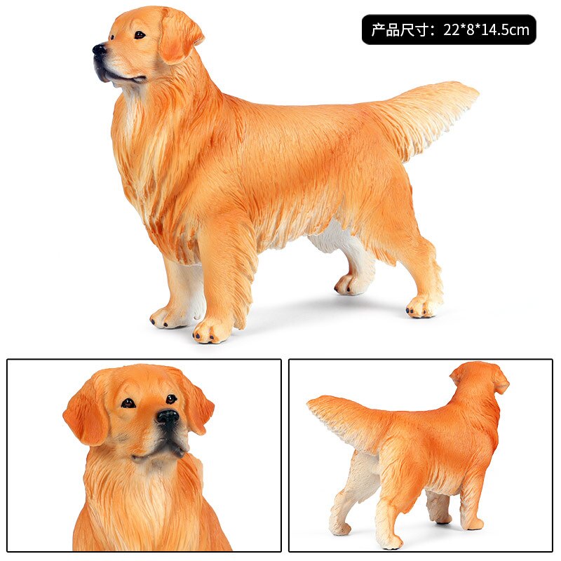 22*8*14.5CM solid simulation animal dog model big golden retriever pet dog child boy toy decoration