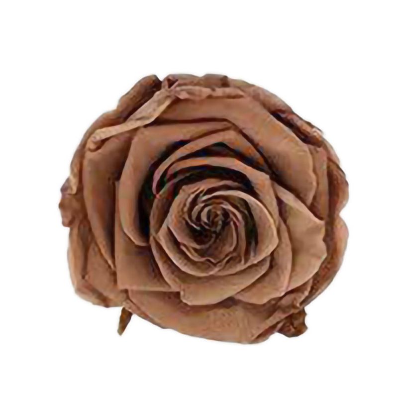 6 Roses Dried Flower Flower Head Eternal Flower B-class Wedding Family Decoration Valentine's Day Mother's Day: C