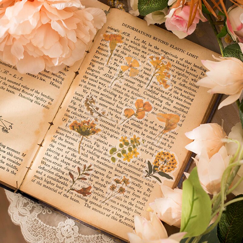 Retro Dried flower specimen PET Deco Stickers Plant Flower Leaf Transparent Bullet Journaling Accessories Aesthetic Stickers
