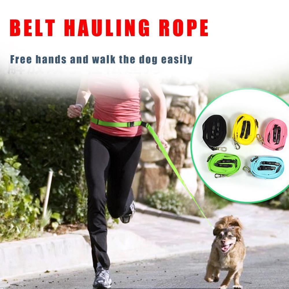 1Pc Verstelbare Nylon Pet Led Halsband Harnas Voor Kleine Accessoires Running Leash Sport Wandelen Jogging Puppy Product Hond i5C9