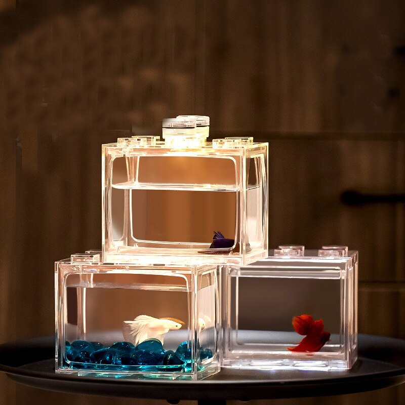 Minni Betta-pecera para tortugas, reptiles, medusas, peces dorados, camarones, bolas de musgo, insectos, caja de Decoración de mesa, suministros para acuario