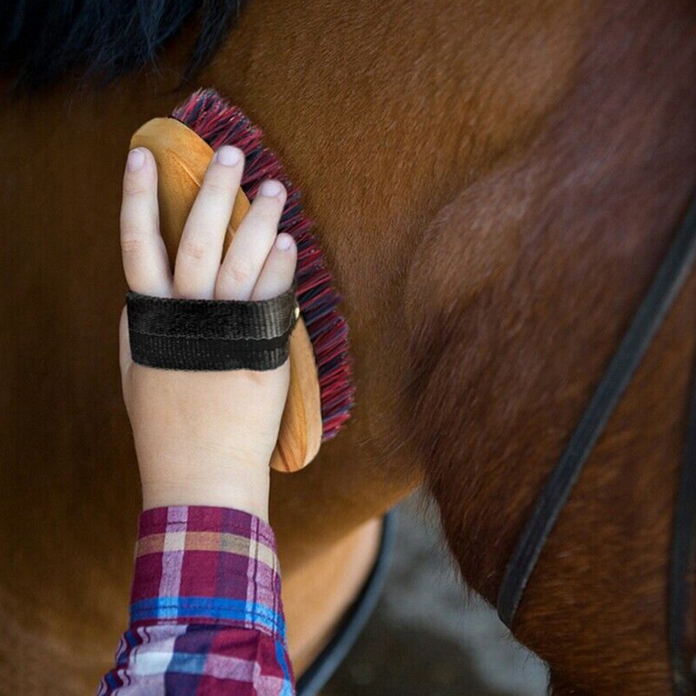 10pcs Grooming Tool Brush Scrubber Curry Mane Tail Horse Cleaning Kit Set Hoof Pick Scraper Massage Comb