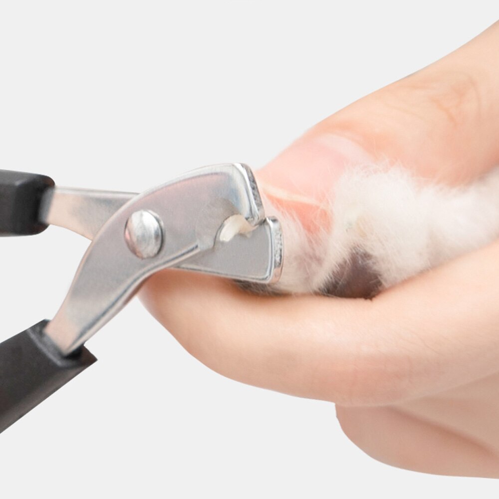 Pet Nail Claw Grooming Scissor Clippers Convenient Pet Toe Care for Pet Bird Parrot Dog Cat Pet Grooming Supplies