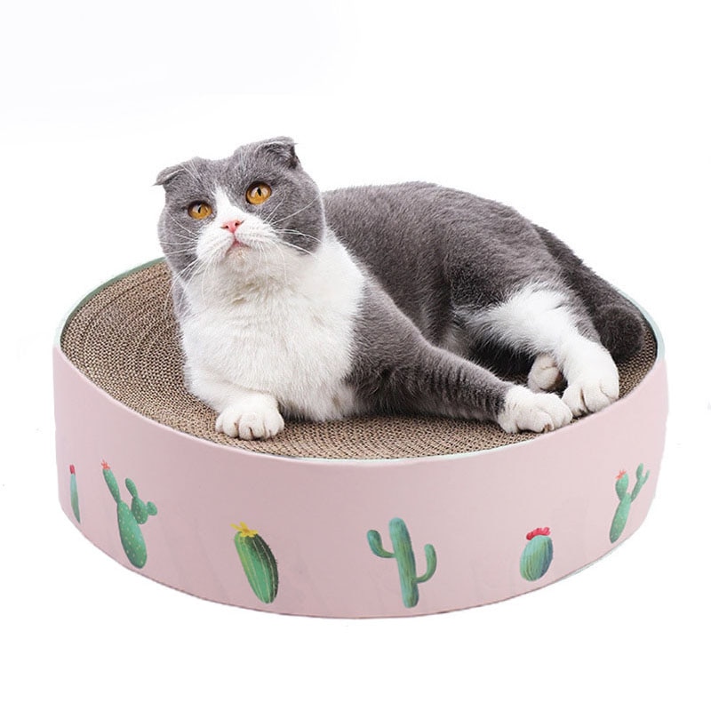 Gut Katze Bord Kratzen Krallen Für Katzen Möbel Kratzer Waren Für Tiere Katze Spielzeug Nagel Scratcher Bett Kätzchen Kaktus