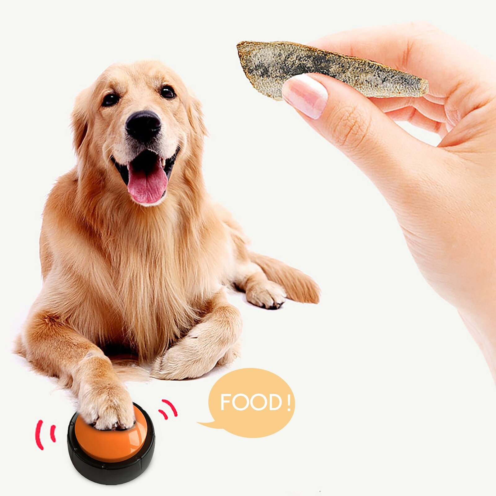 Dog Pet Bell Supplies Trainer Bells Training Cat Dog Toys Dogs Training Talking Pet Answers Response Training Equipment