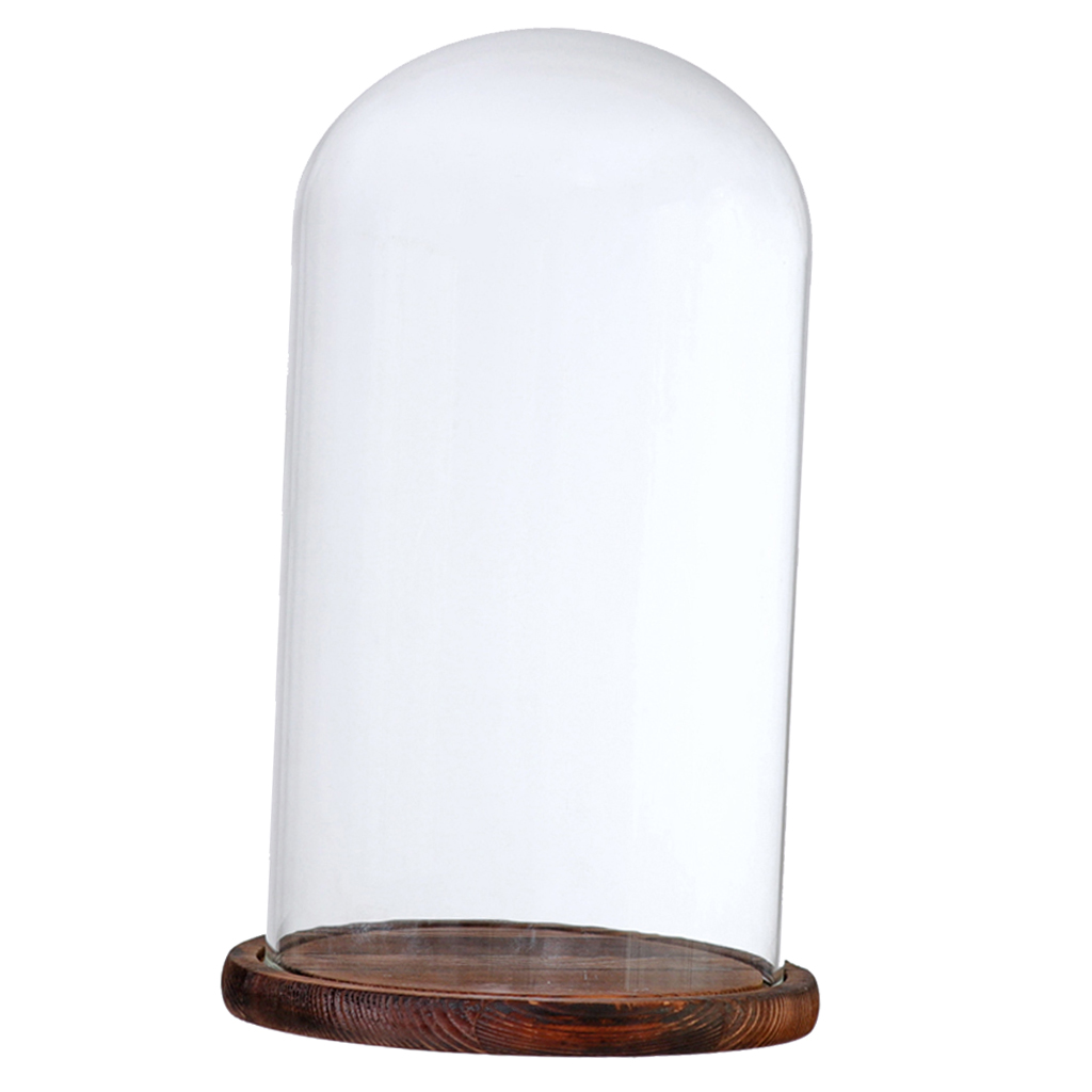 Træbund glas cloche kuppel dæksel display centerpiece bordplade dekoration glas kuppel med base: Brun g