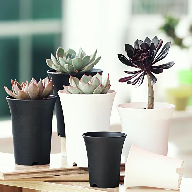 Lavabo de pelo antiguo para plantas suculentas, lavabo Vientiane, maceta de plástico redonda gruesa mate de cintura alta, jardinería en blanco y negro