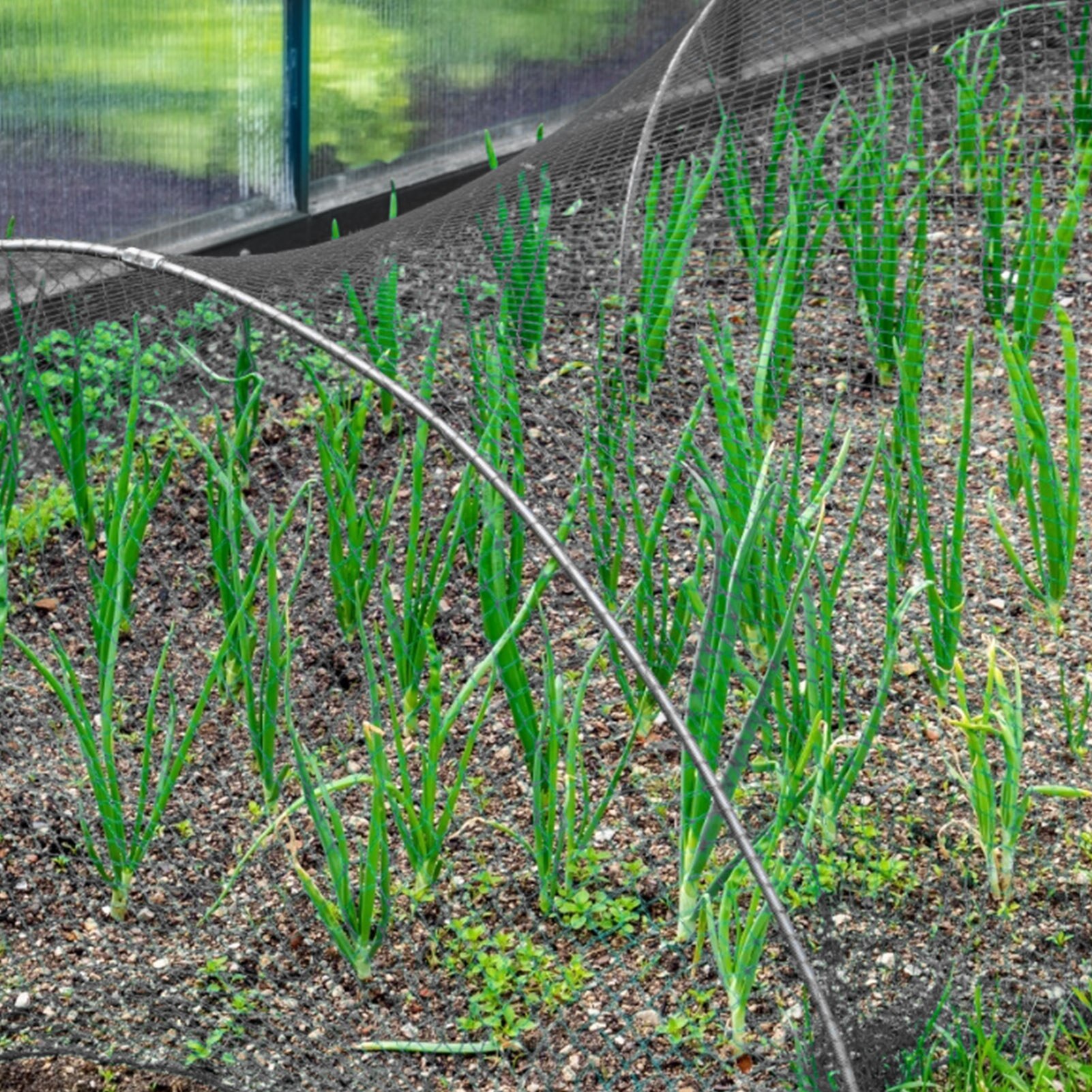 300x45x45cm Garden Vegetable Insect Net Cover Plant Net Adjustable High Freeze Plant Protection Network