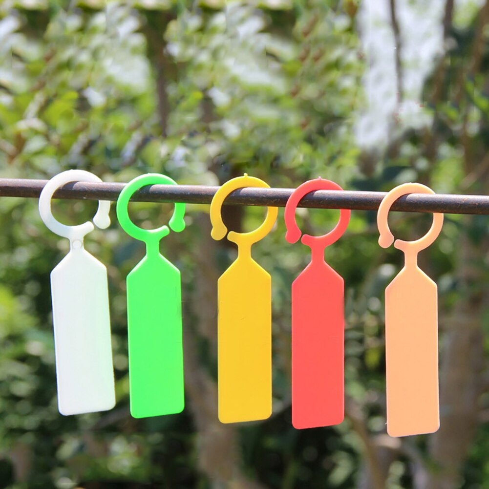 Knop Label 50 Zaailing Label Ring Knop Tuinieren Label Niet K... – Grandado