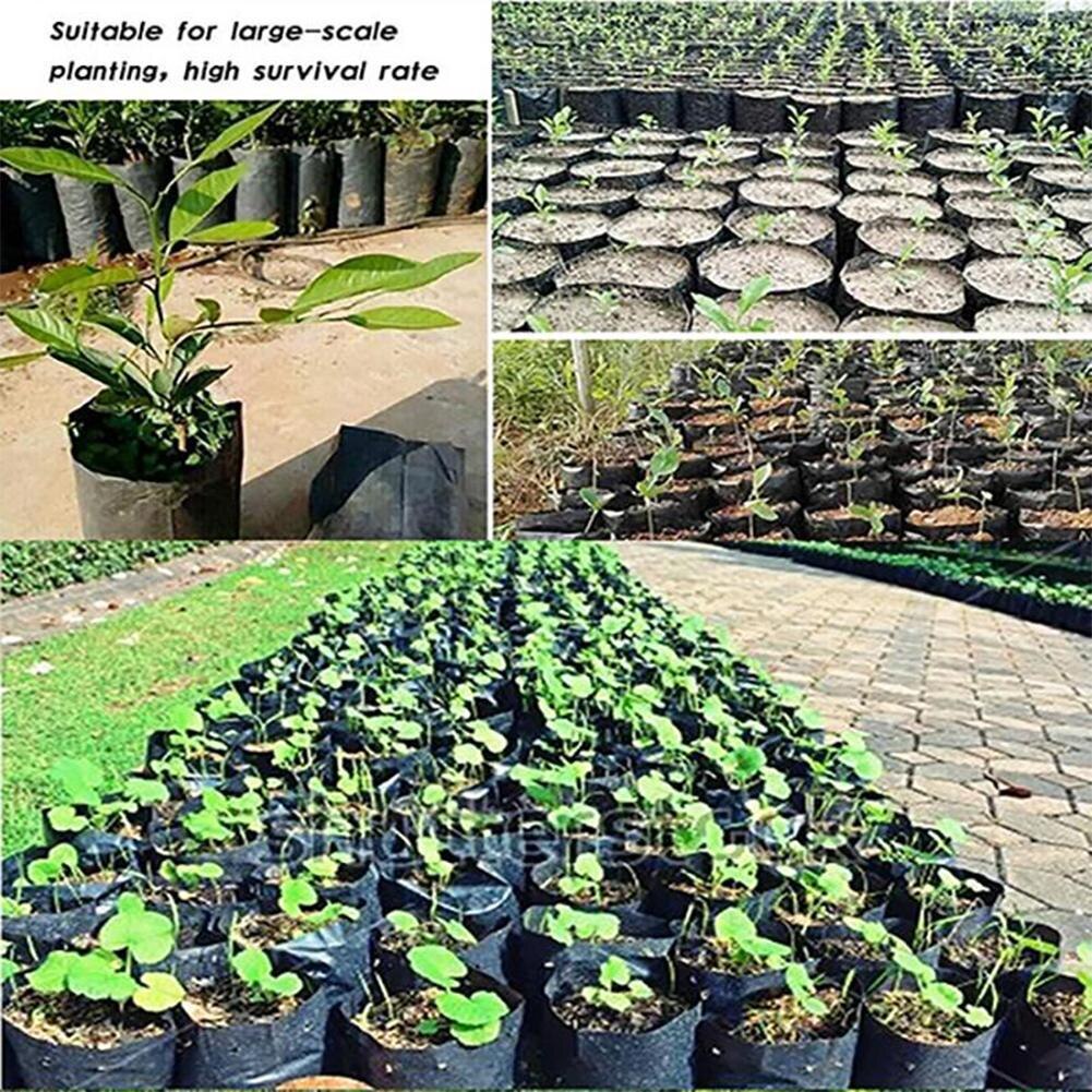 100 Pcs PE Plastic Nursery Bags Plant Grow Bags Seedling Breathable Holes For Fruits Garden Pots Flowers With Vegetables N9I0