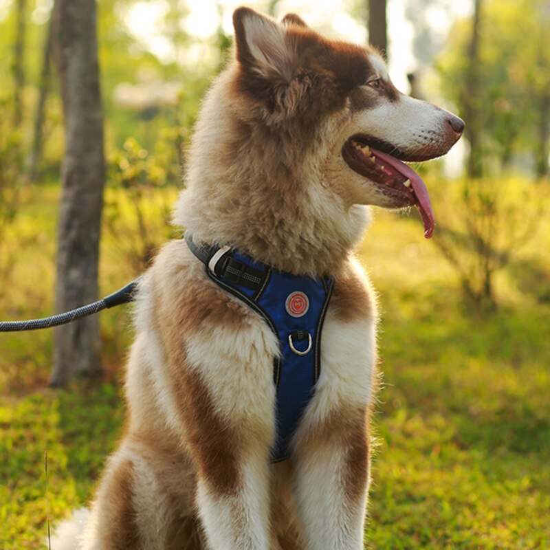 Nylon Pet Dog Harness French Bulldog Harness.Puppy Small Dogs.Harnesses Adjustable Pet Dog.Chest Strap Pet Dog Accessories