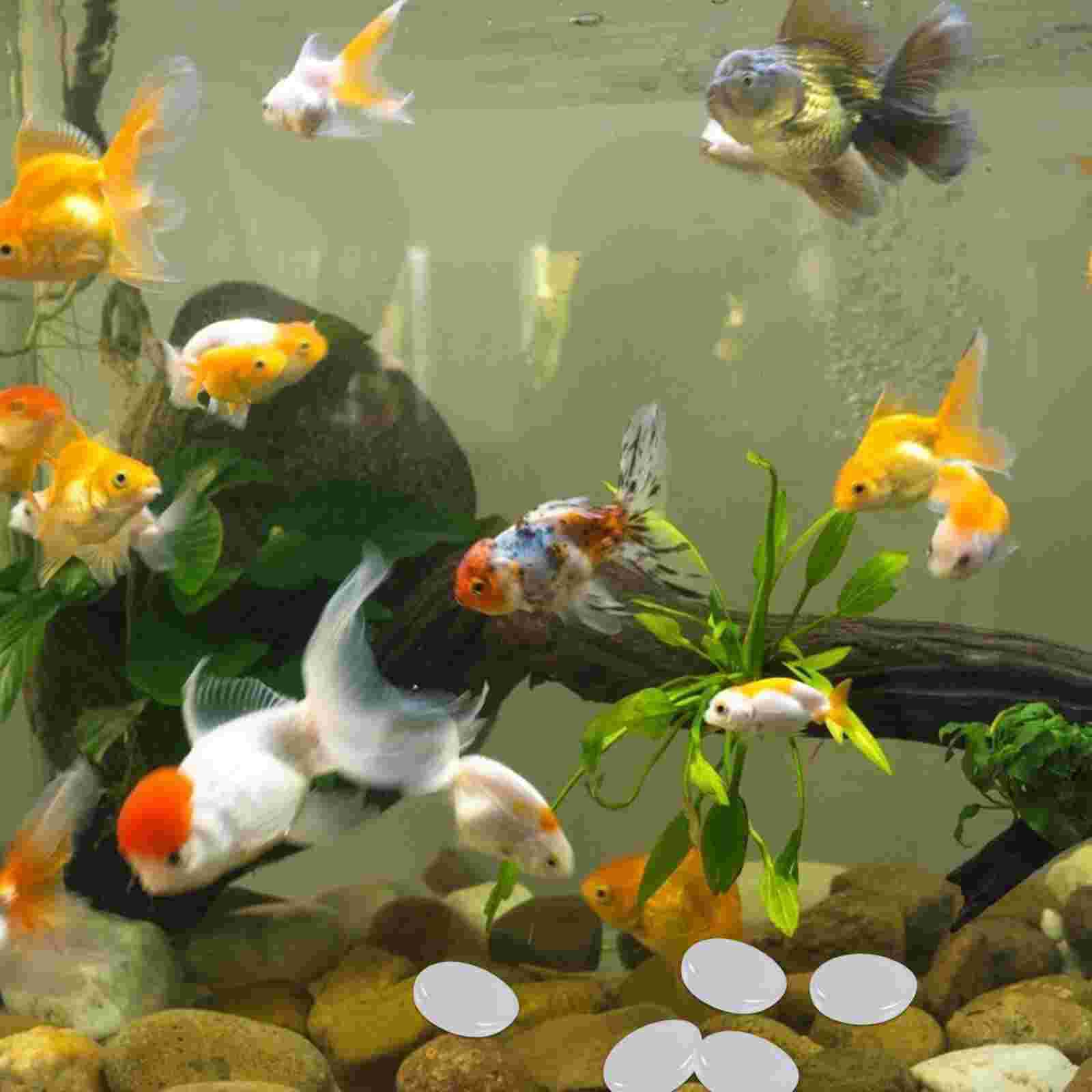 100pcs Natural Decorative Polished White Pebbles Small Decorative River Stones