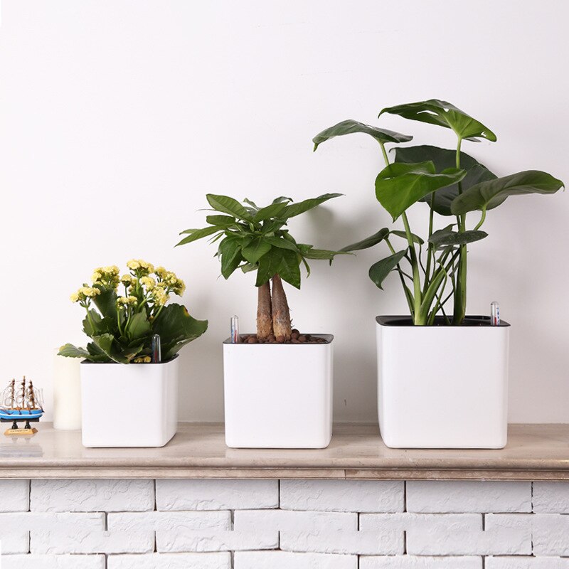 Jauge de niveau d'eau bouée Pot de fleur rappel de pénurie d'eau indicateur de niveau d'eau pour jardin maison plante rappel de niveau d'eau