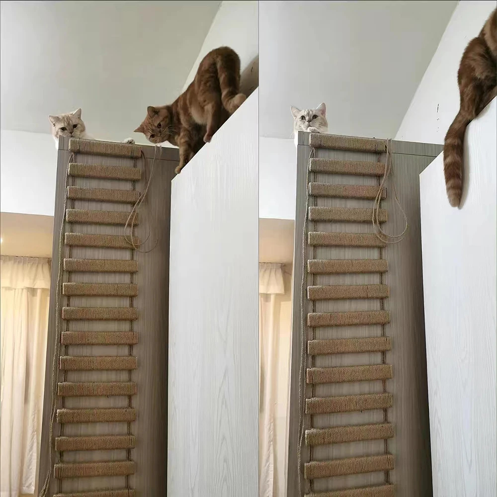 50CM/100CM Sisal Seil oder Holz Leiter Katze Klettergerüst Spielen Katze Brücke Haustier drinnen draussen möbel Katze Liefert