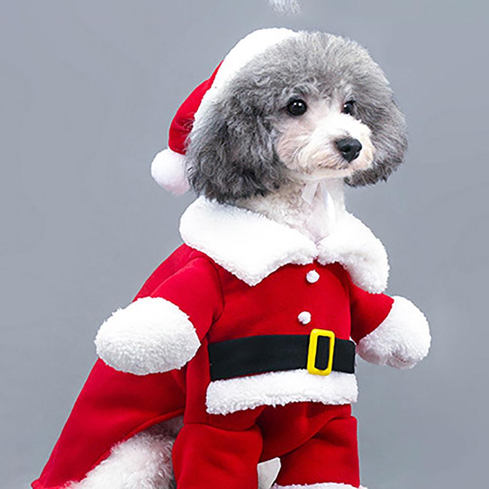 Hund kostume kat tøj dejlige jul kæledyr julemanden dragt kostumer kat hvalp jumpsuit hættetrøjer tøj petdecoration