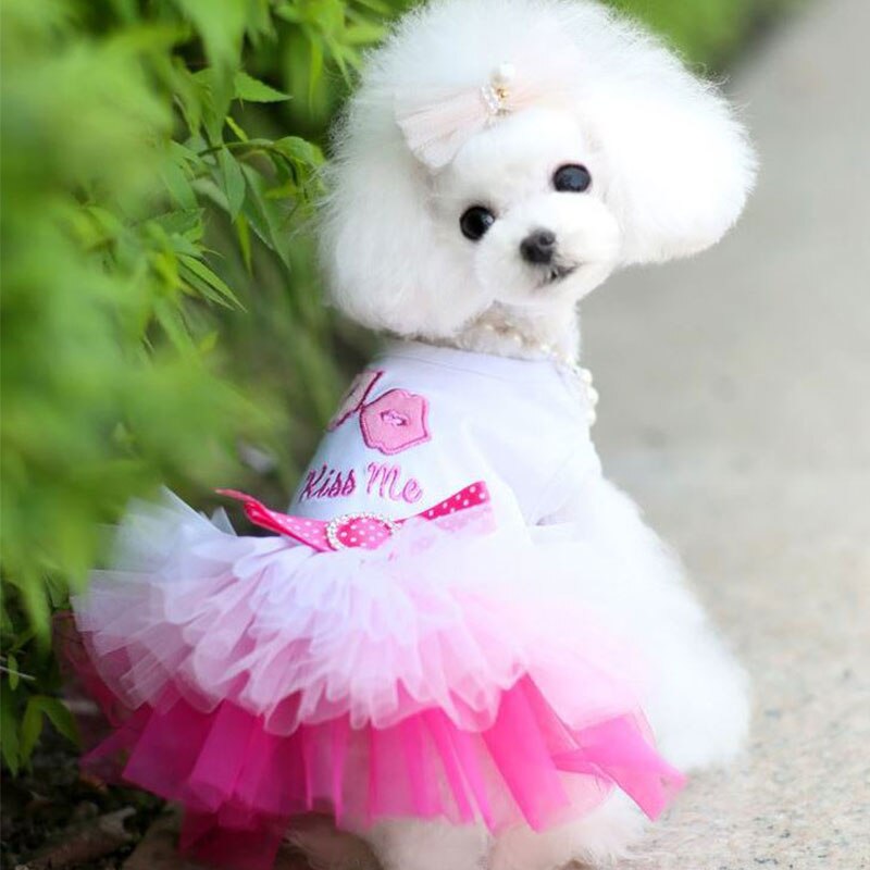 Jurk Voor Kleine Honden Hond Kleding Puppy Sweety Prinses Jurk Mooie Kant Rok Chihuahua Lente Zomer Kostuum Dierbenodigdheden: Roze / Xxl