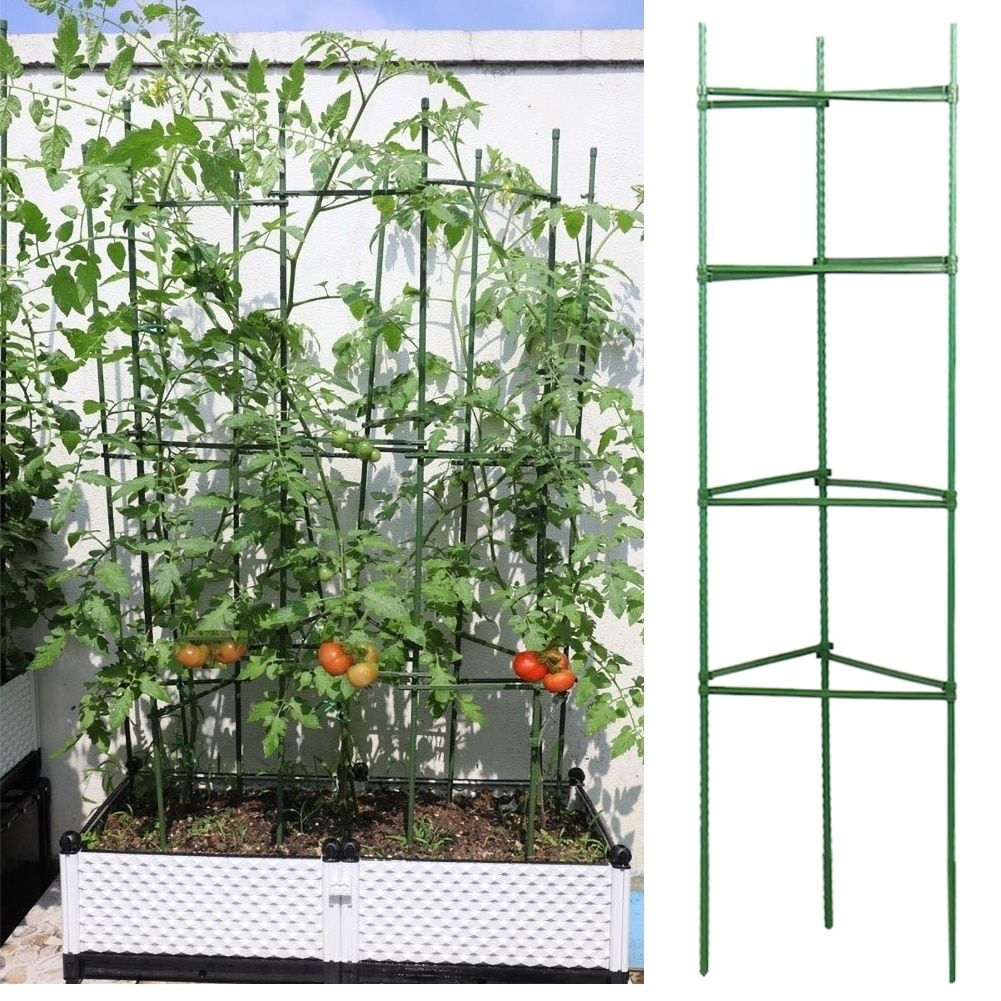 12/24 stk planter støtte stak stik have plante fix klip drivhus plast fast stik til blomster grøntsager tomater
