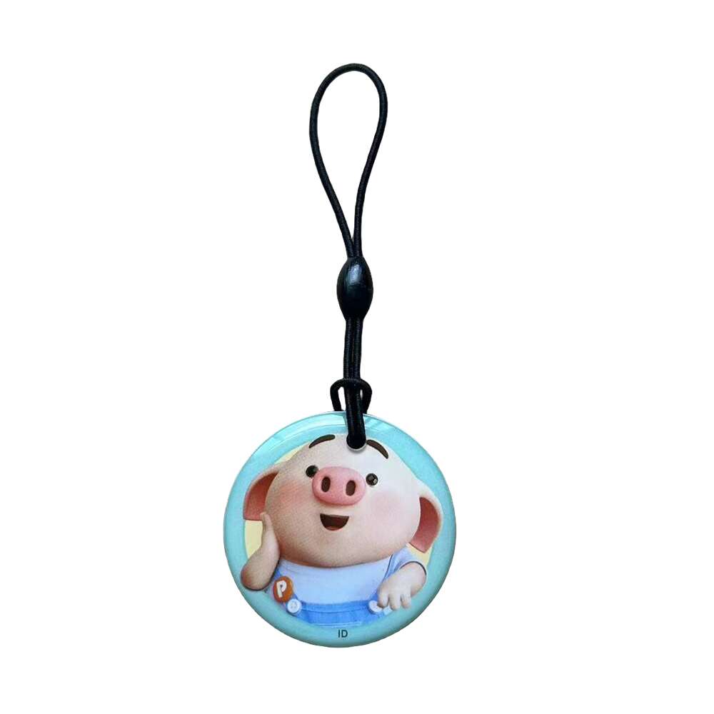 Porte-clés RFID réinscriptible, étiquette RFID, copie d'accès, carte de données vierge, anneau de jeton d'identification, porte-clés, contrôle d'accès ClhbKeychain, 125 tiens z, T5577, EM4305, 1PC
