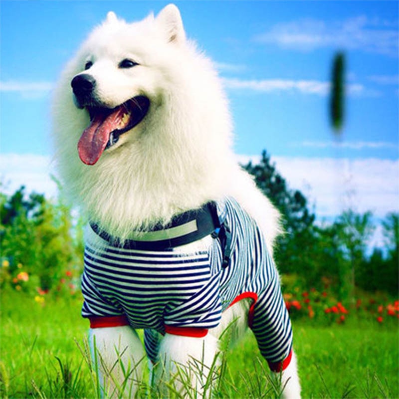 Streep Grote grote hond jas kleding zomer hond puppy jumpsuit overall golden retriever pitbull hond kleding hoodie voor Labrador