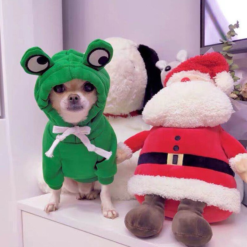 Medium Kleine Grote Herfst Winter Hoodies Kikker Ropa Para Perro Hond Kleding Twee-Legged Hooded Outfits Groen Fleece Kleding