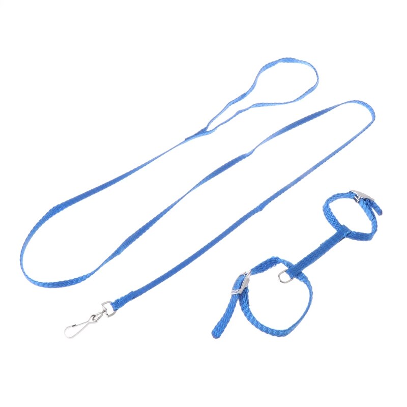 Adjustable Hedgehog Harness For Training Playing Traction Rope Cord For Pets L4MB