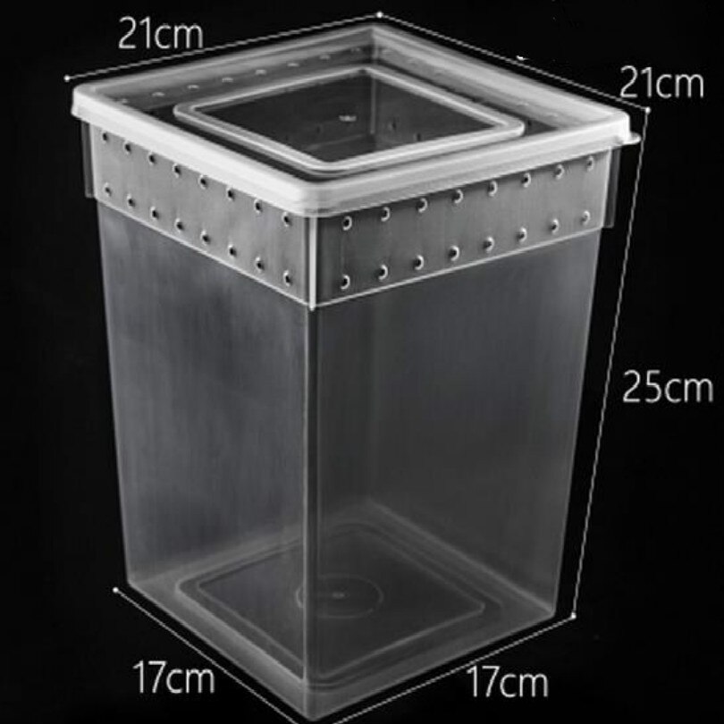 pet Feeding box Spider house frog farm insect turtles snake boxes reptiles workshop taller With air hole white black: E