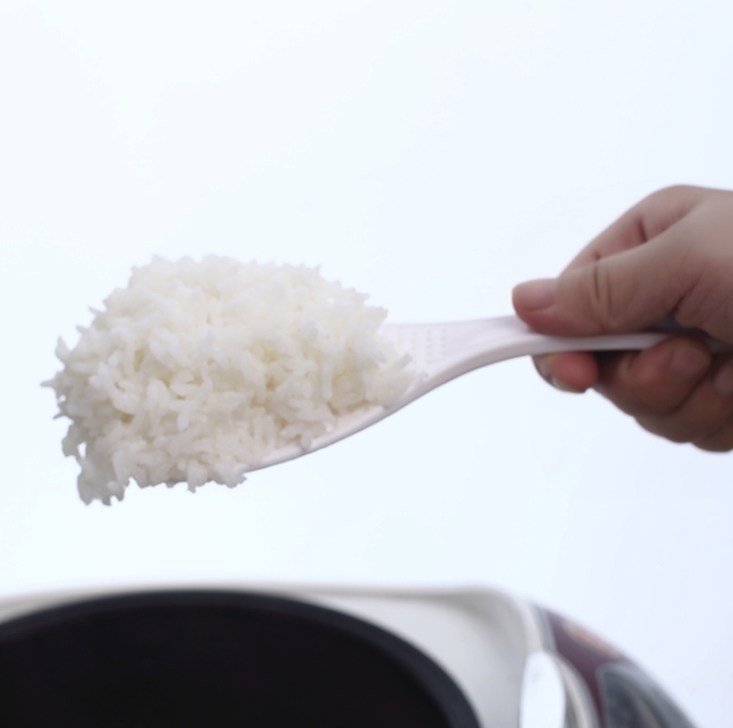 Cuchara de arroz Japonesa sushi ambiental antiadherente cocina herramienta cucharas, vajilla comida PP salud