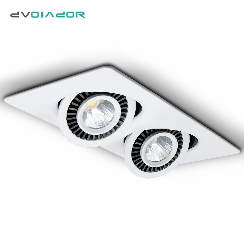 Double Head Spot Lights Dimmable LED Ceiling Downlight 10W 20W 24W Adjustable Recessed Ceiling lamp For Kitchen Bedroom Led Lamp