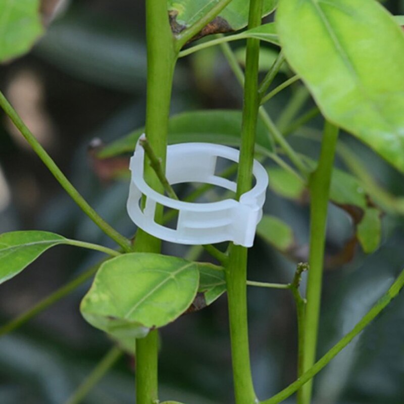 50/100pcs Reusable clamps Plastic Plant Support Clips For Plants Hanging Vine Garden Greenhouse Vegetables Tomatoes Clips 25mm