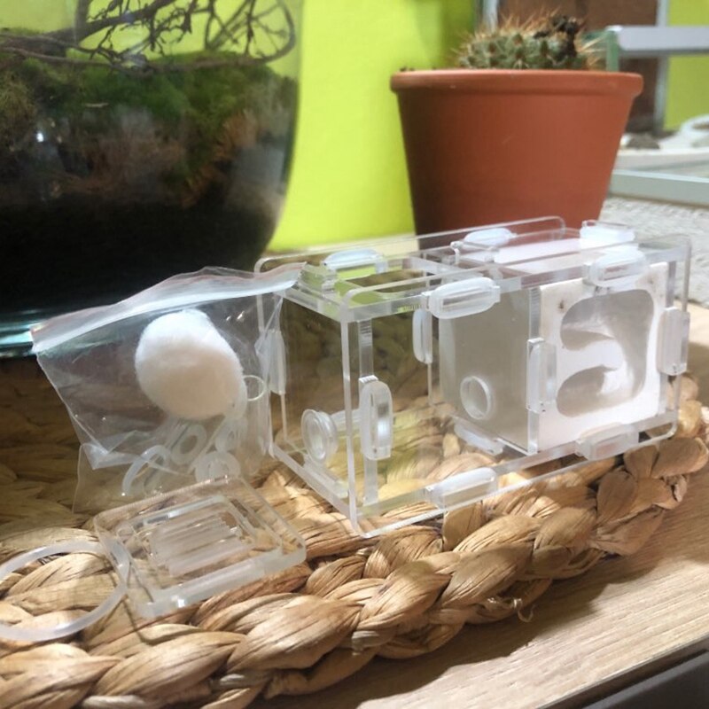 Mini Ants Nest Ant Farm Acrylic&Gypsum For Young Queens and Small Colonies Ants House Ant Home