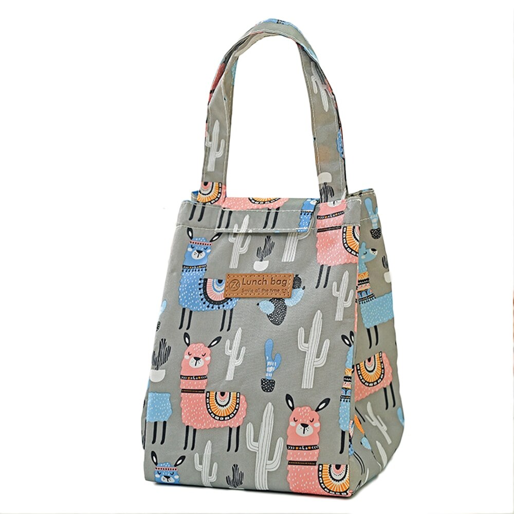 Lunch Bag Cute Multicolor Cooler Bags Women Waterproof Hand Pack Thermal Breakfast Box Portable Picnic Travel Food Bag: E