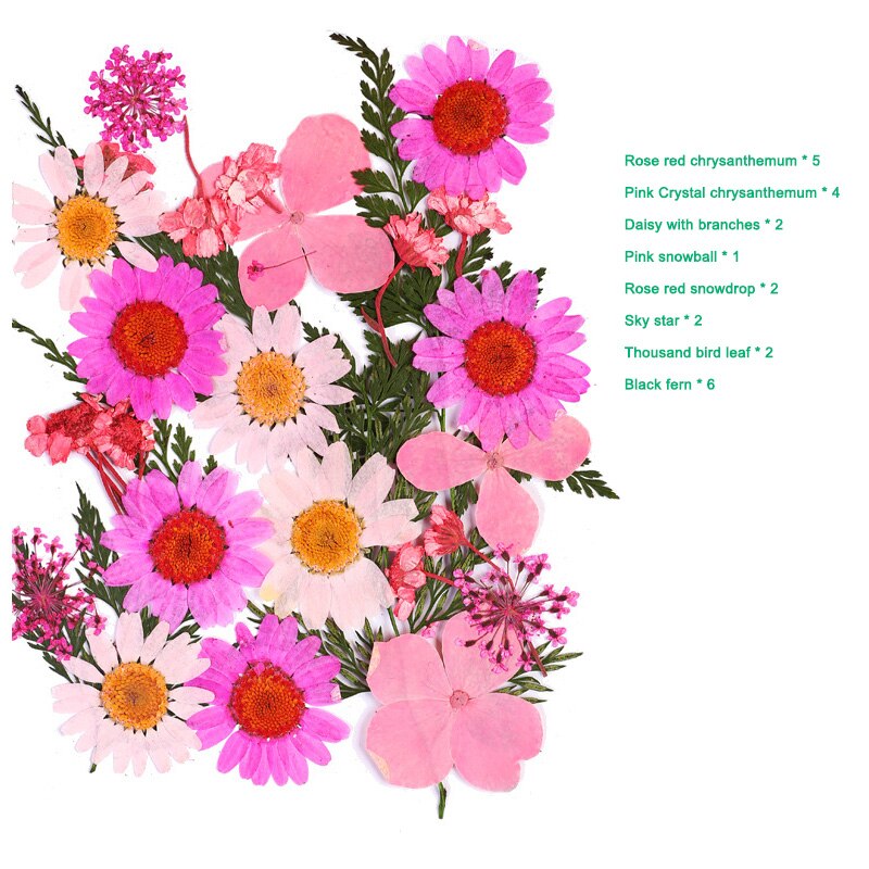 Bra hälsosam pressad blomma blandade torkade blommor gör-det-själv konst blomdekor samling hantverk gör-det-själv: A 11