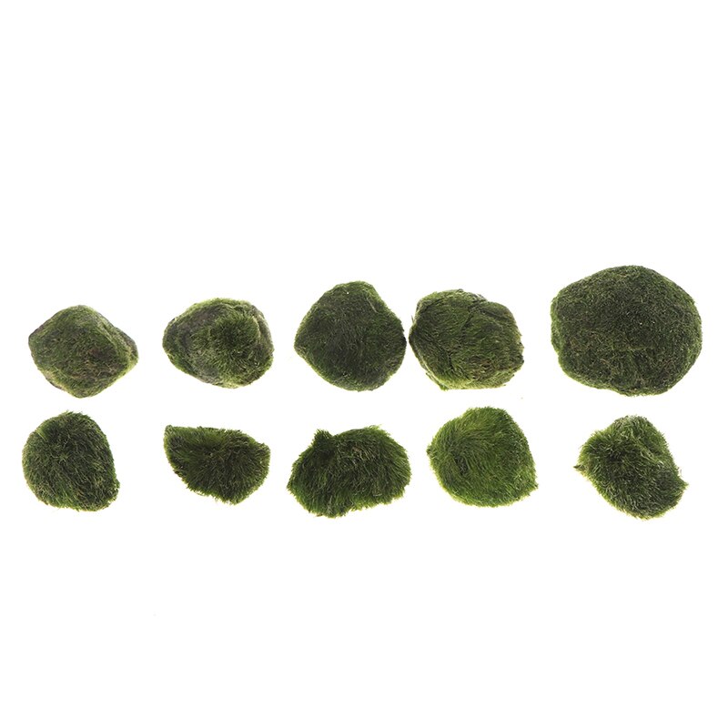 Moss Stone Lifelike Vivid Moss Balls Decorative Balls for Glass Jar Terrarium Aquariums Landscaping Plant Fish Tank Decor