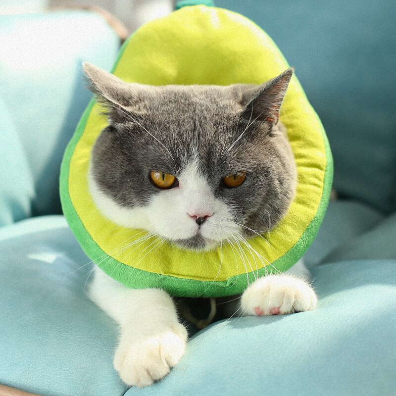 Adjustable Dog Cat Elizabethan Collar Fruit Shape Pet Protective Collar Dog Neck Recovery Anti-Bite Surgery Wound Healing Ring