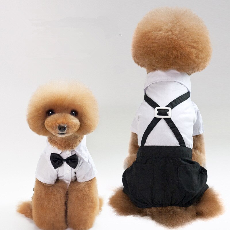 Dog Wedding Suit Boy Dog Clothes Male Dog Clothing Jumpsuit Bowtie Tuxedo Yorkie Poodle Bichon Pomeranian Schnauzer Costume Coat