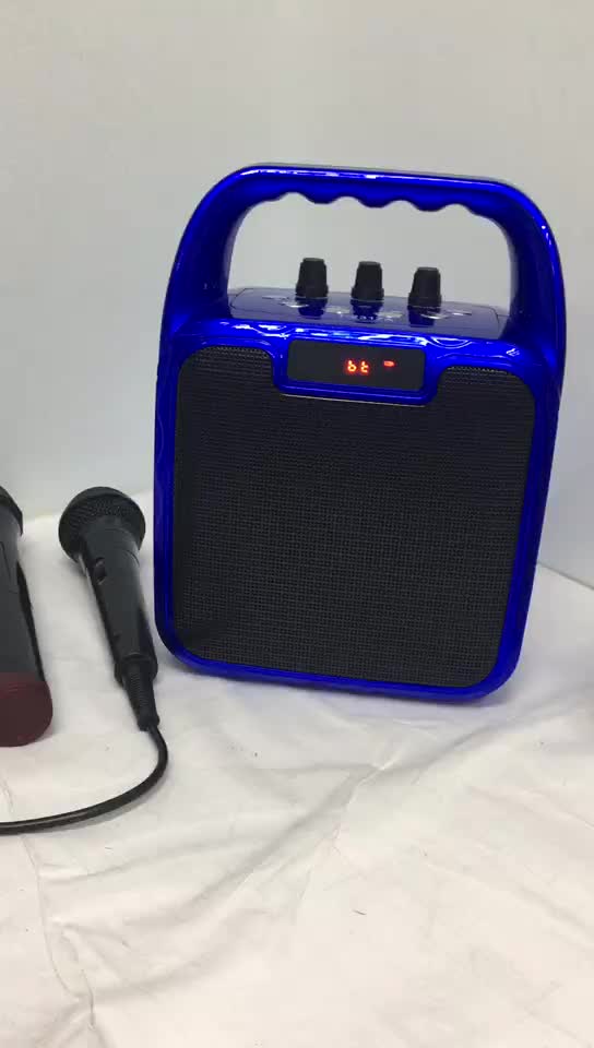 Karaoke Speaker - 10W Output Power - Bluetooth 5.0+EDR - Portable Audio with Wired Microphone