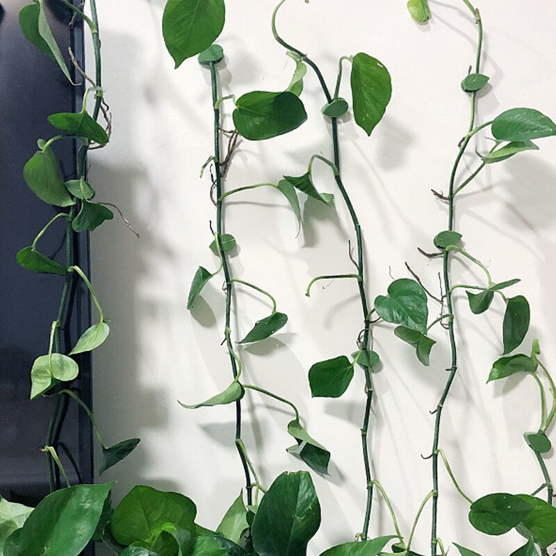 10 Uds planta trepadora fijador de pared tipo hoja planta verde dispositivo de fijación Invisible Clip de vid sujetador Snap tracción forma