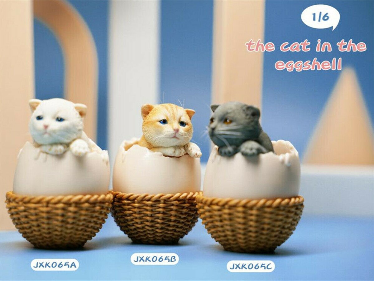 JXK 1/6th Eggshell Cat Model Cute Pet Animal Figure Collector Decor Toy Kid Handmade Oenaments Adults Kids