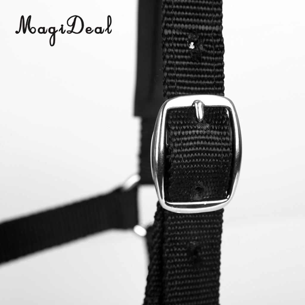 Adjustable Equestrian Western Horse Halter Fits 130cm - 165cm Horse Black/Blue/Red